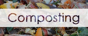 the caption, composting, with a background image of things that can compost